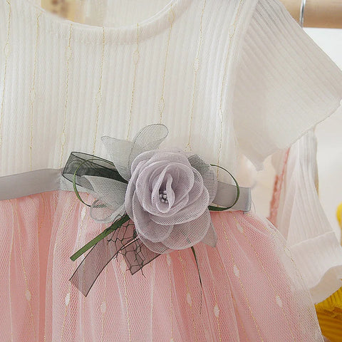 Clearance_Toddler Girl Tutu Dress Summer Fashion Short Sleeve Princess Dress Cute Flower Girl Wedding Dress_Continuous updates